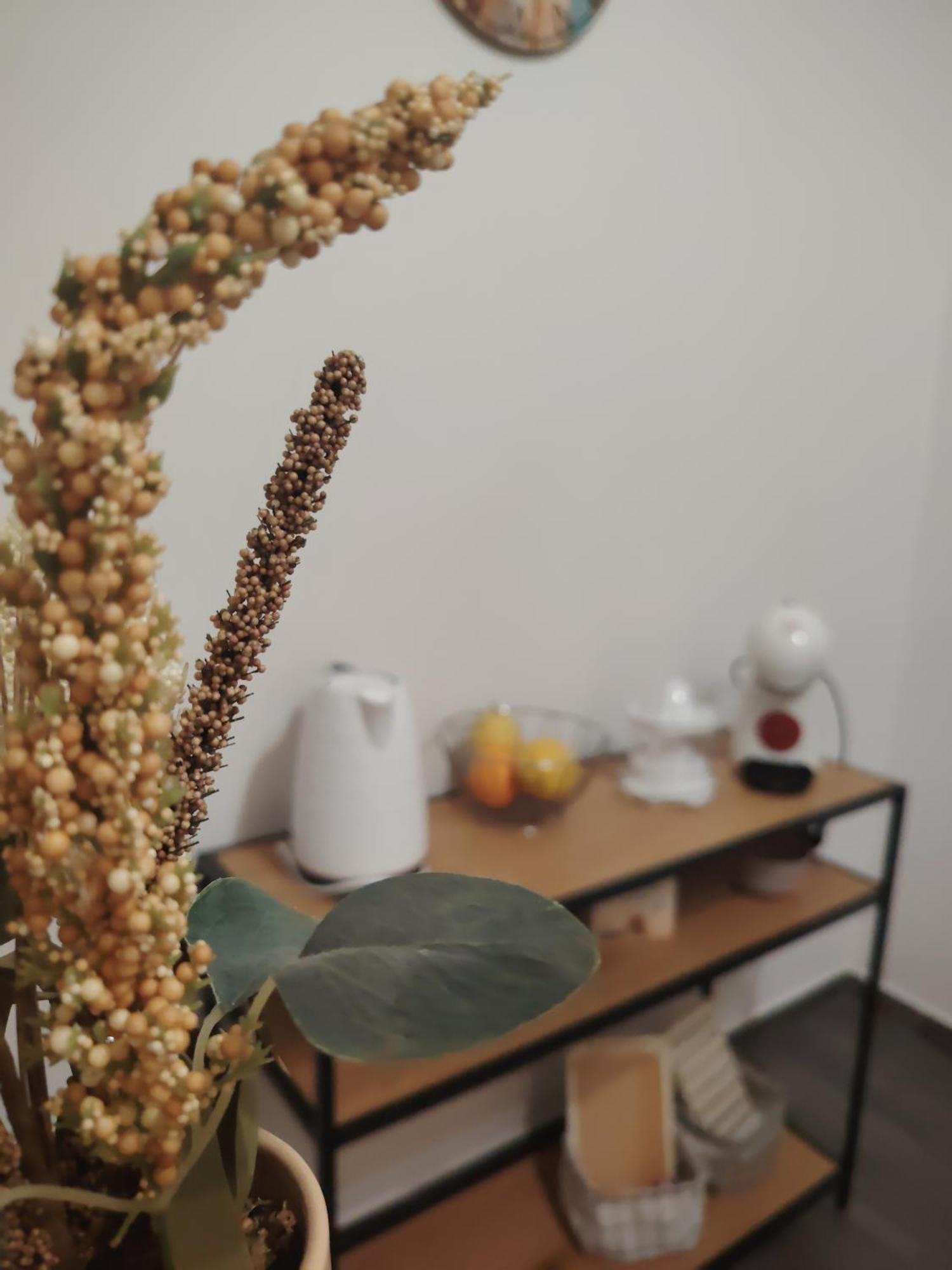Apartman Hric -50M Od Plaze- Mali Lošinj Dış mekan fotoğraf